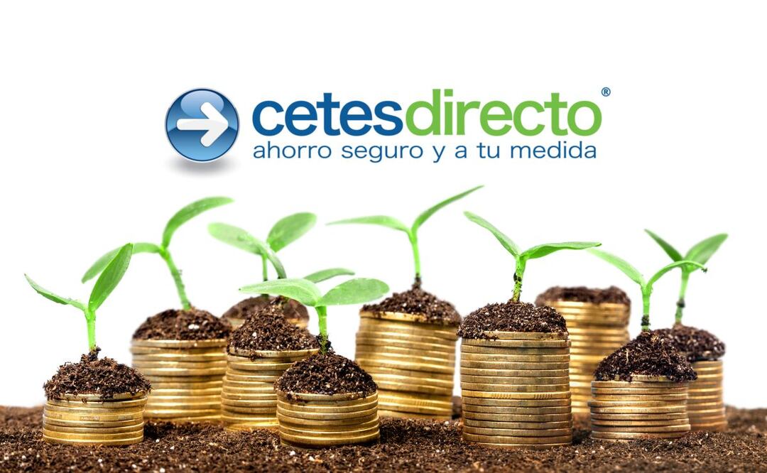 Lo que necesitas saber antes de invertir en CETES. (Foto: DeDinero)