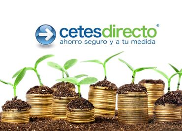 ¿Cuál es la mejor forma de invertir en CETES? 5 estrategias para diferentes tipos de personas