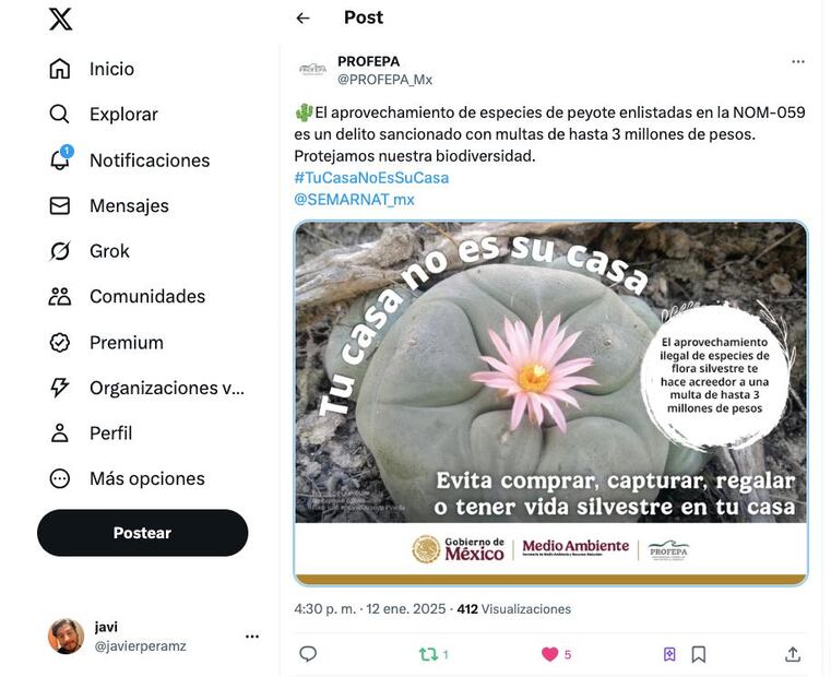 ¿Qué pasa si tengo cactus dentro de mi casa? (Foto: @PROFEPA_Mx)