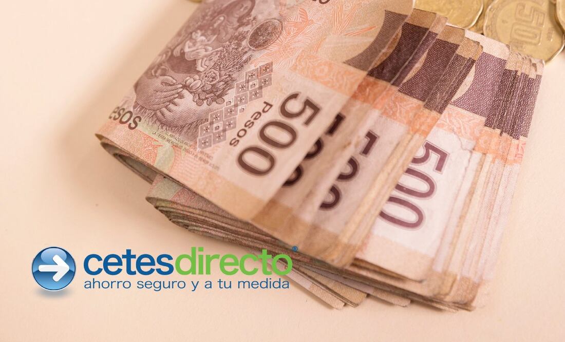 ¿Qué es Bonddia y qué es Cetes? (Foto: DeDinero)