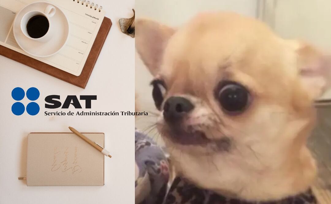 ¿Cómo puedo saber cuál es mi régimen fiscal SAT? (Foto: DeDinero)