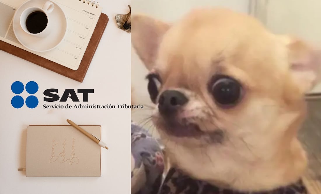 ¿Cómo puedo saber cuál es mi régimen fiscal SAT? (Foto: DeDinero)