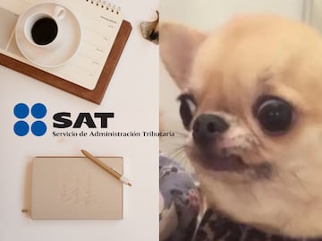 ¿Estoy dado de alta en el SAT? Cómo checar si estás registrado y en qué concepto te tienen