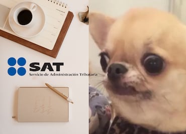 ¿Estoy dado de alta en el SAT? Cómo checar si estás registrado y en qué concepto te tienen