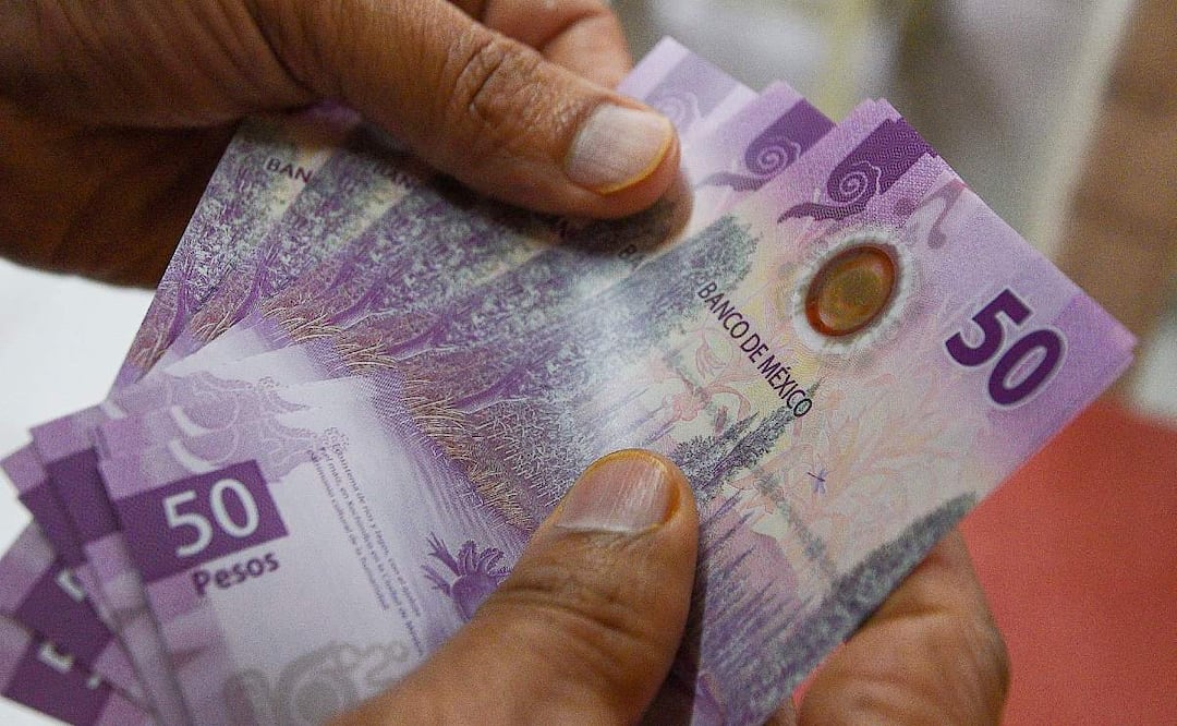 ¿Pagos extra en julio? Esto recibirán pensionados del IMSS y ISSSTE según su institución. (Foto: Cuartoscuro)