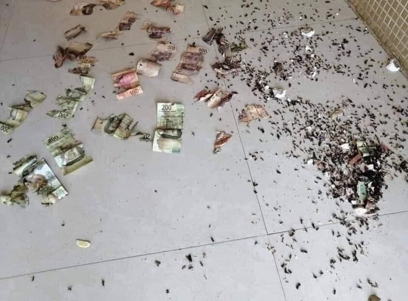 ¿Qué le pasa a los billetes en alcancías? (Foto: DeDinero)