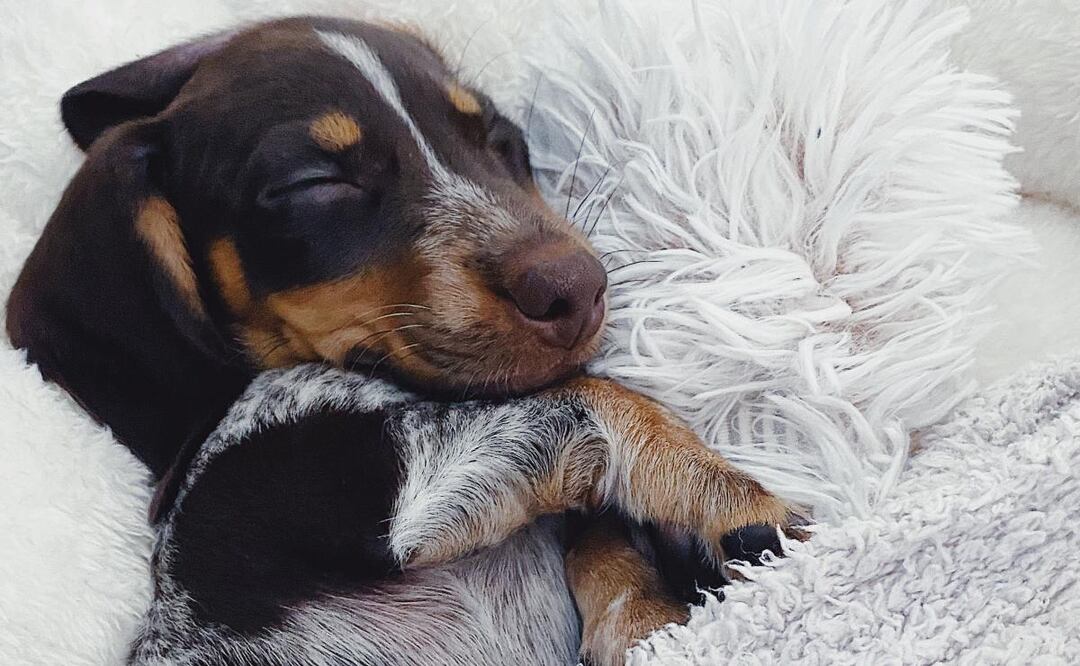 Los trastornos del sueño pueden ocasionar consecuencias serias en tu salud. (Foto: DeDinero)