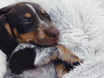 Dormir mal hace que pierdas dinero, así es como el imsomnio reduce tu productividad en general