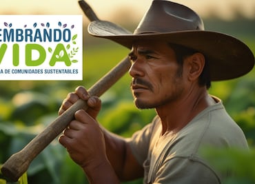 ¿Cómo inscribirte en Sembrando Vida 2025? Guía completa para obtener el apoyo de $6,250 mensuales
