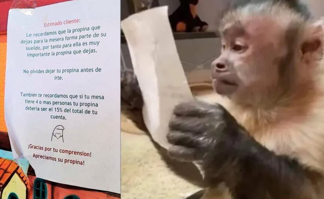 ¿Qué dice la Profeco de las propinas? (Foto: DeDinero)