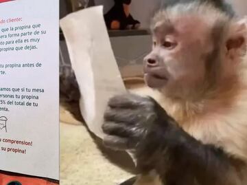 ¿Propina es obligatoria? Esto dice la Profeco ante mensaje de fondita “forma parte del sueldo”