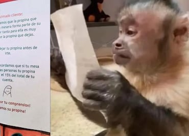 ¿Propina es obligatoria? Esto dice la Profeco ante mensaje de fondita “forma parte del sueldo”