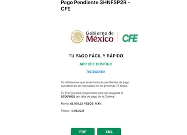 Fraude viral usa a CFE y delata a argentinos