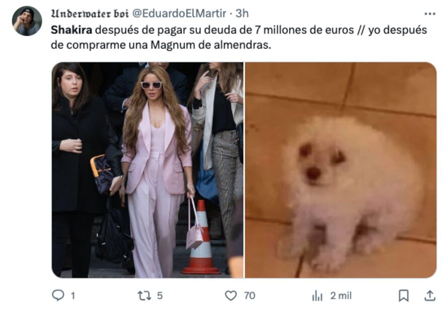 Memes de Shakira en redes sociales