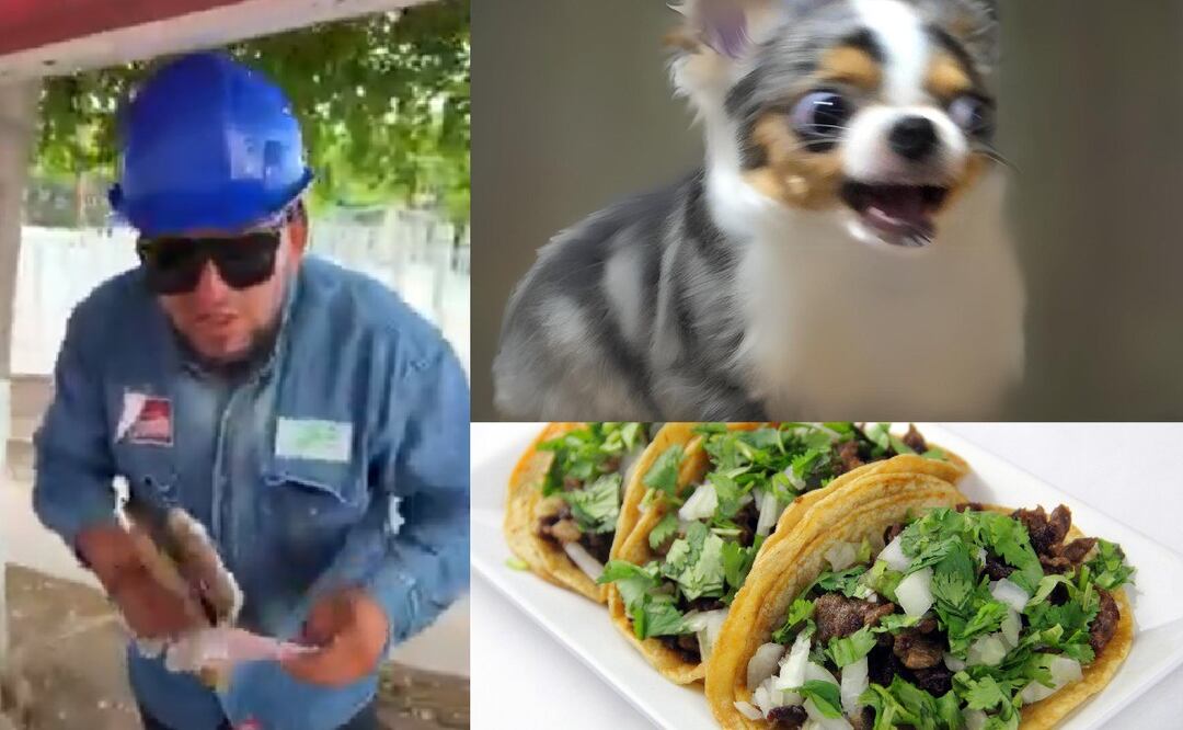 Broma a empleado de CFE se vuelve viral. (Foto: Redes sociales)