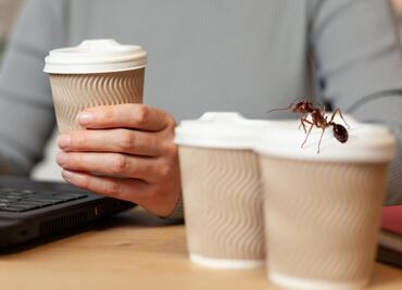 ¿Estás perdiendo dinero sin saberlo? Identifica y elimina los gastos hormiga en tu trabajo