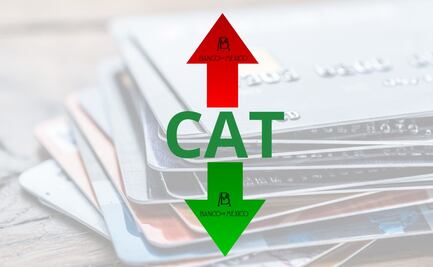 El secreto del CAT explicado, descubre cómo ahorrar en tus créditos