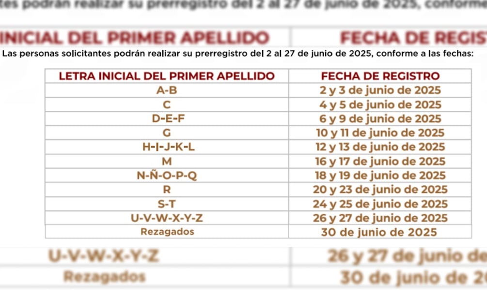 Programa Vivienda para el Bienestar 2025 impulsado por el IMEVIS (Foto: Captura de pantalla- Convocatoria Vivienda para el Bienestar)
