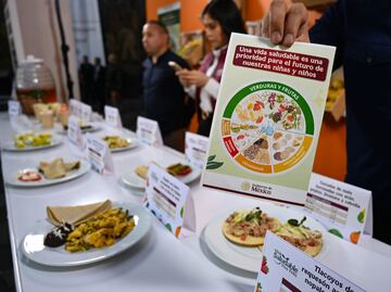 Empieza tu negocio en una escuela: Qué alimentos se pueden vender y cuáles no, en cooperativas 2025