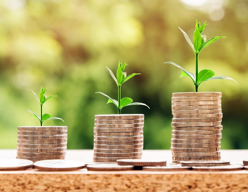 Si inviertes en Bonddia, tu dinero crecerá de forma constante. (Foto: Pixabay)