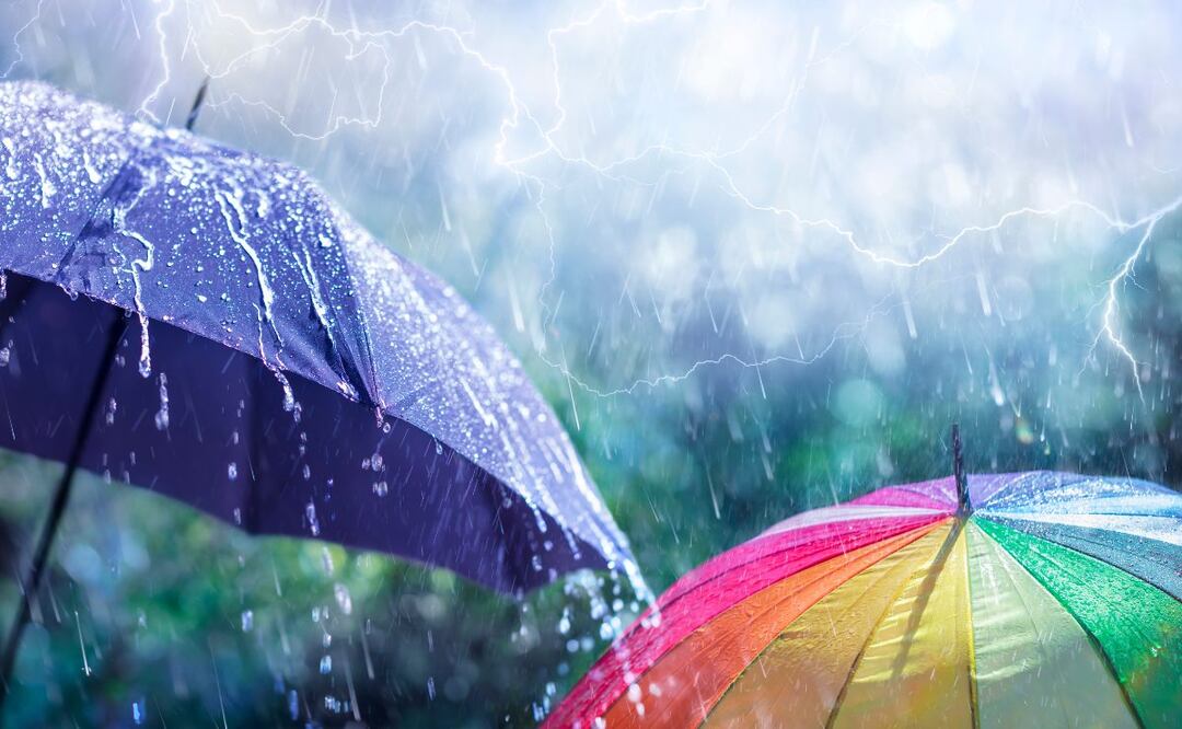 ¿Sombrilla o paraguas para la temporada de lluvias 2024? (Foto: DeDinero)