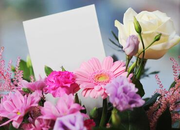 Se agotan flores en páginas de envío por Internet; ¿qué otras opciones tienes?