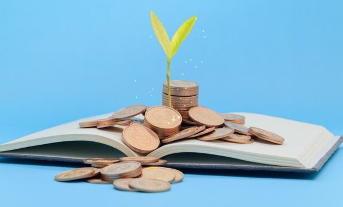 Libros para guiarte en el mundo de las finanzas personales. (Foto: Freepik)