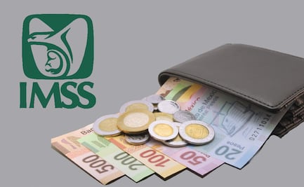 ¿Cómo obtener una pensión bajo la Ley 73 del IMSS?  Requisitos y opciones