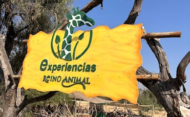 Desayuno Safari en Reino Animal, precios, reserva y cómo es la experiencia inmersiva a menos de una hora de CDMX