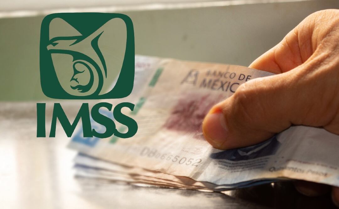 Pensión IMSS no recibida: Guía práctica para reclamar pagos y resolver problemas. (Foto: DeDinero)