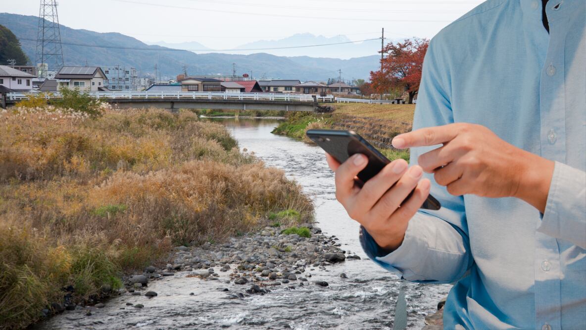 CFE Internet para Todos y sus servicios de telefonía (Foto: Canva)