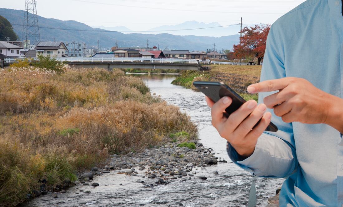 CFE Internet para Todos y sus servicios de telefonía (Foto: Canva)