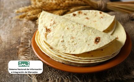 Costo de la tortilla en 2024, ¿por qué varía tanto el precio según la región?