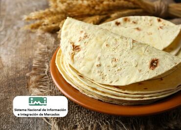 Costo de la tortilla en 2024, ¿por qué varía tanto el precio según la región?