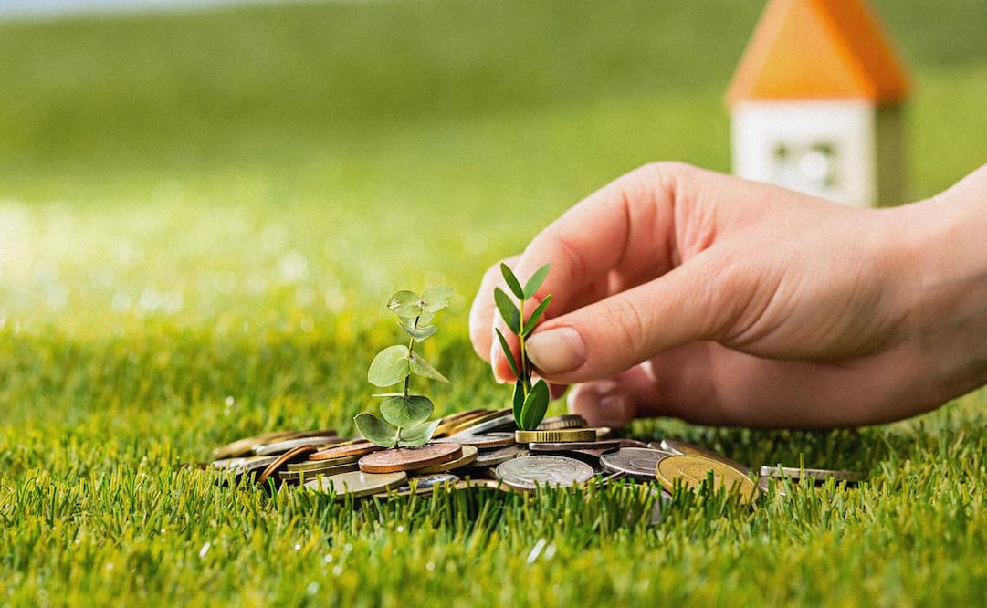 Adquirir valores gubernamentales permite crecer tu dinero de forma segura. (Foto: Freepik)