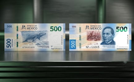 Estos son los billetes más falsificados en México: Banxico explica cómo detectarlos y qué hacer