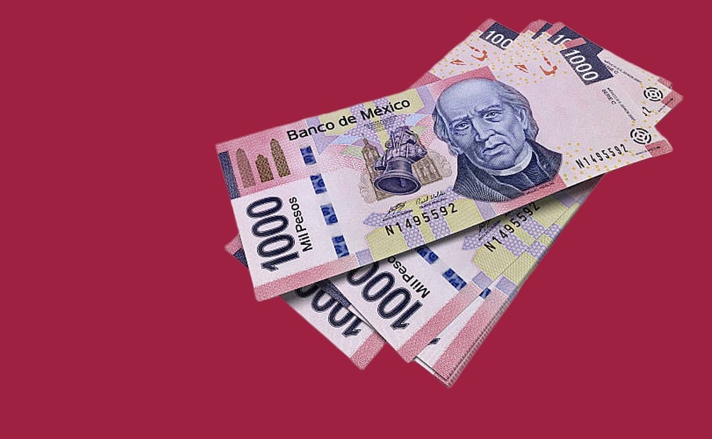 Apoyo económico del Seguro de Desempleo Bienestar. (Foto: DeDinero)