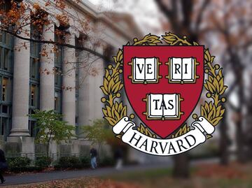Harvard ofrece estos 140 cursos gratuitos y en línea para desarrollar tu perfil profesional