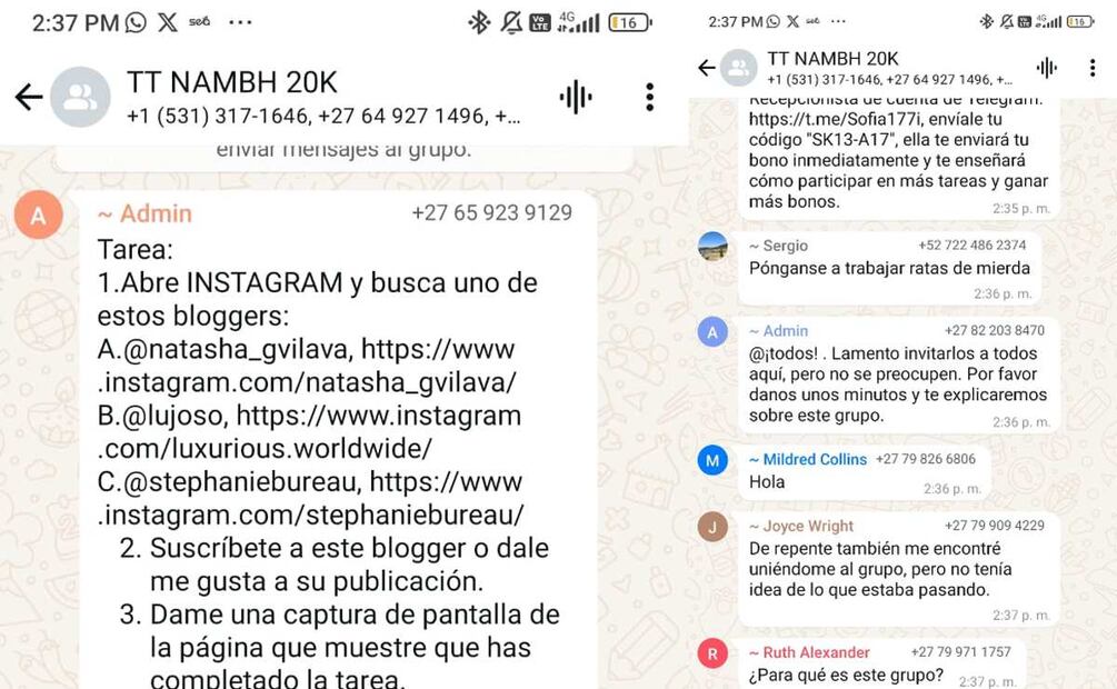 ¿Cómo saber si un chat de WhatsApp es estafa? (Foto: Redes sociales)