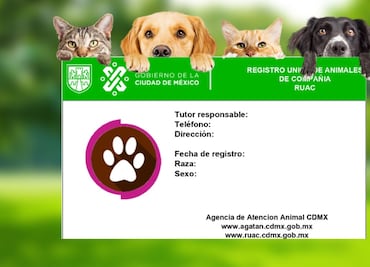 Para qué es el CURP para mascotas 2024 y cómo descargarlo GRATIS desde mi celular