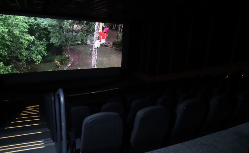 Cineteca Nacional Chapultepec. (Foto: Cuartoscuro)