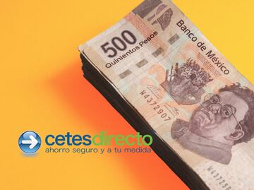 Cuánto invertir en Cetes para recibir 50 mil pesos y poner mi propio negocio en enero 2025
