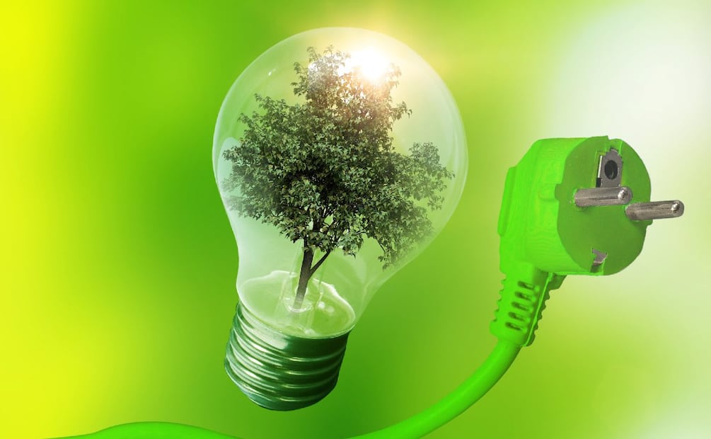 ¿Quién emite bonos verdes en México? (Foto: DeDinero)