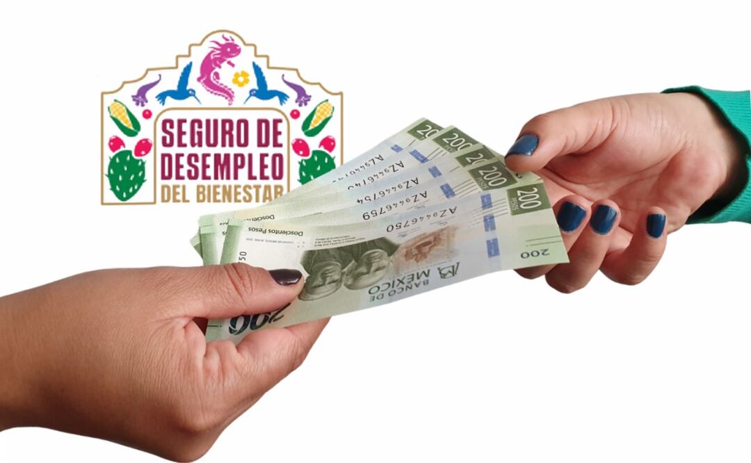 Seguro de Desempleo CDMX: publican folios aprobados, así puedes saber si fuiste elegido. (Foto: DeDinero)