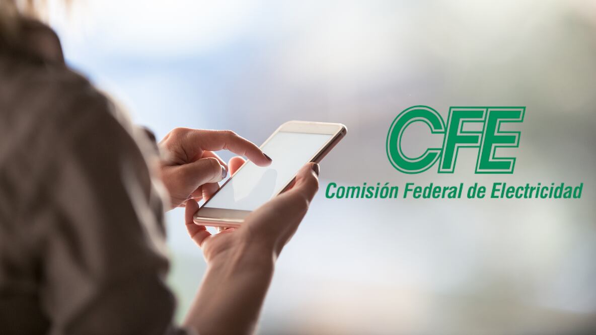 Internet desde 95 pesos al mes con la CFE (Foto: Canva)