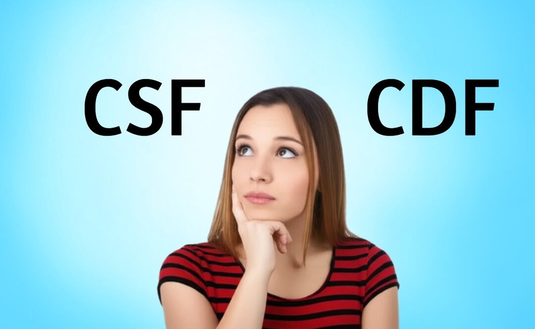 CSF vs. CDF: ¿Cuál necesitas y para qué sirve? (Foto: Creada con IA)