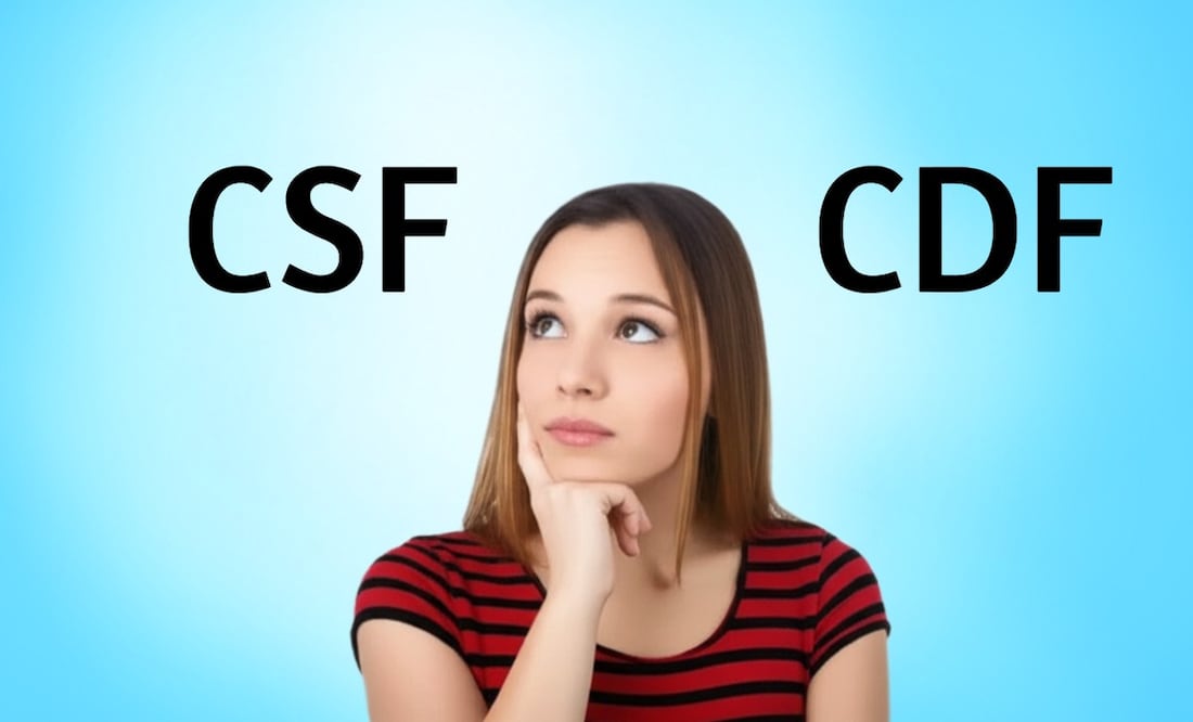 CSF vs. CDF: ¿Cuál necesitas y para qué sirve? (Foto: Creada con IA)