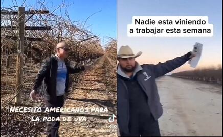 Agricultor de EU ruega que migrantes mexicanos trabajen por 325 pesos la hora, pero crisis está así