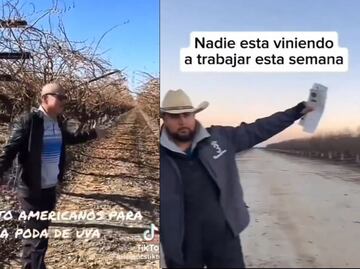 Agricultor de EU ruega que migrantes mexicanos trabajen por 325 pesos la hora, pero crisis está así