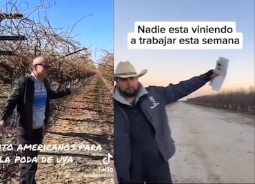 Agricultor de EU ruega que migrantes mexicanos trabajen por 325 pesos la hora, pero crisis está así